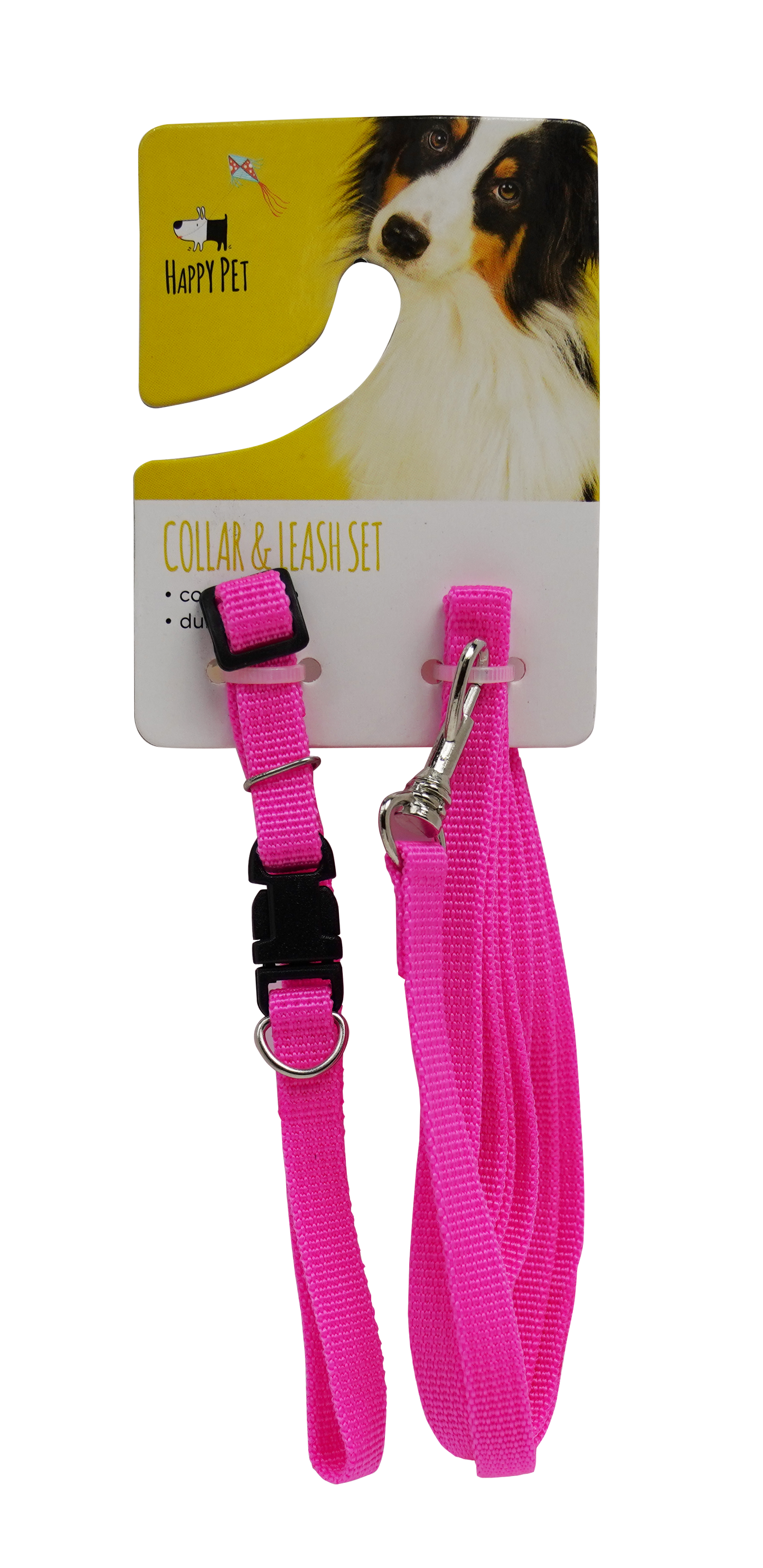 Nylon Collar & Leash Set