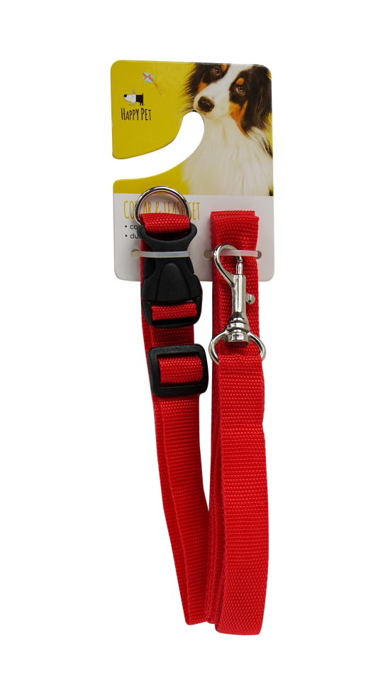 Nylon Collar & Leash Set